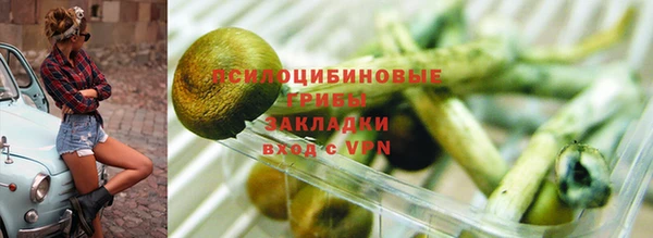 дурь Арсеньев