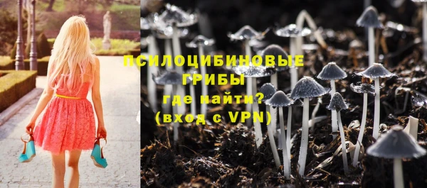 гидра Армянск