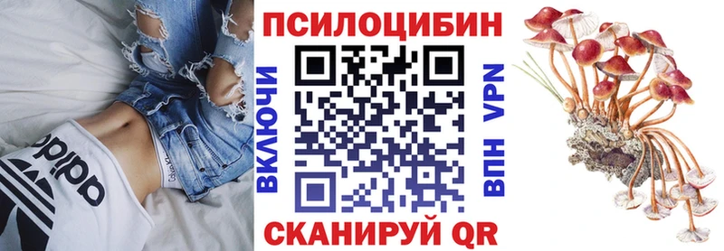 Псилоцибиновые грибы MAGIC MUSHROOMS  hydra ONION  Нижний Ломов 