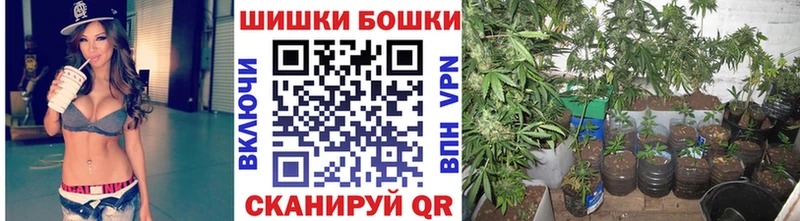 как найти   Нижний Ломов  МАРИХУАНА ГИДРОПОН 